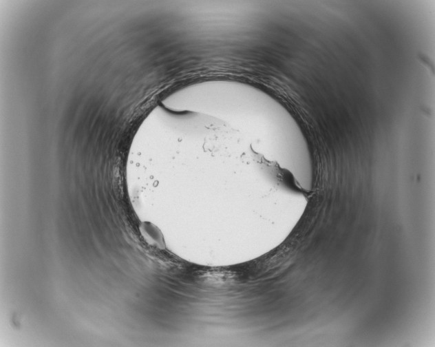 X0000102020415200808151320