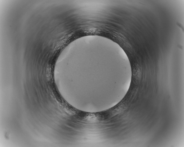 X0000102020416200808151320