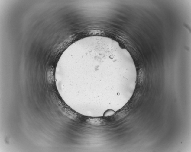 X0000102020417200808151320
