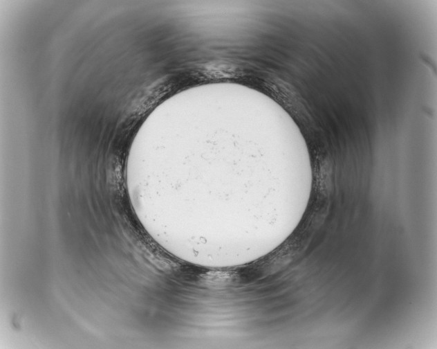 X0000102020418200808151320