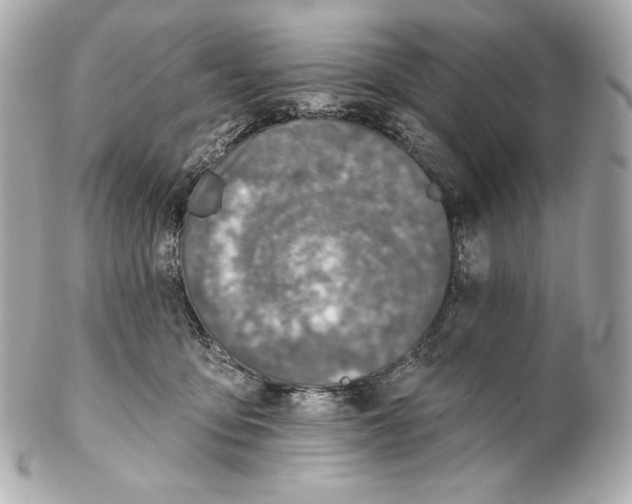 X0000102020419200808151320