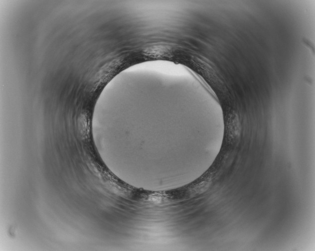 X0000102020420200808151320