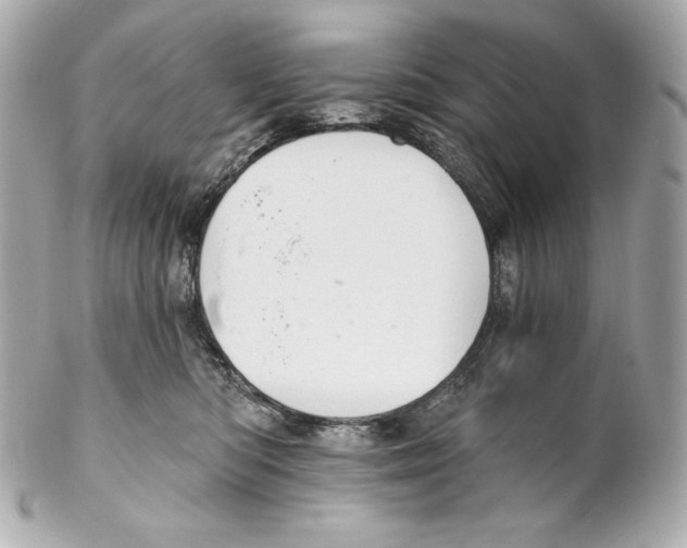 X0000102020422200808151320