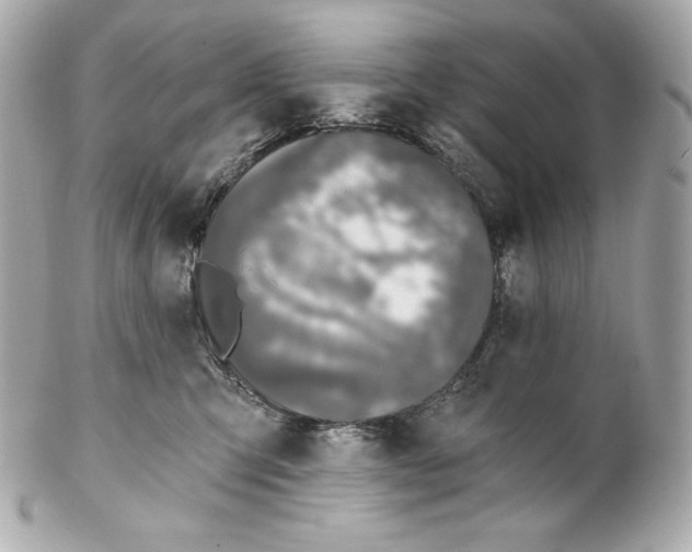 X0000102020423200808151320