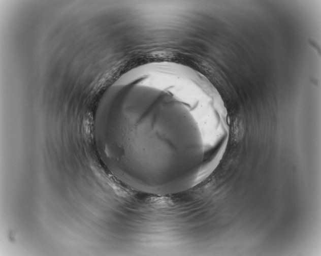 X0000102020424200808151320