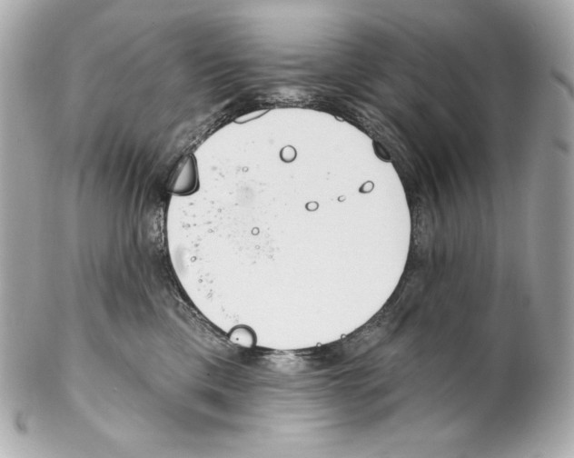 X0000102020425200808151320