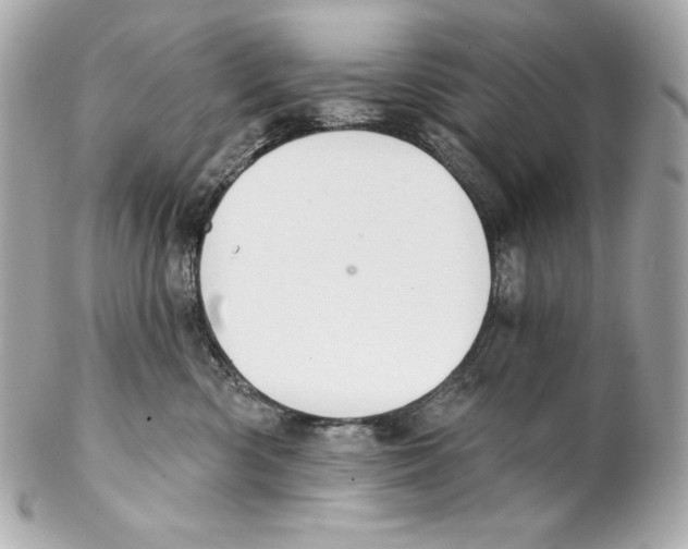 X0000102020426200808151320