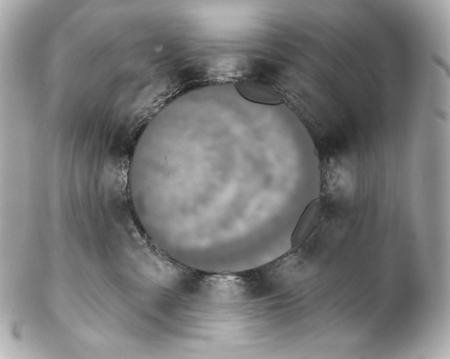 X0000102020427200808151320