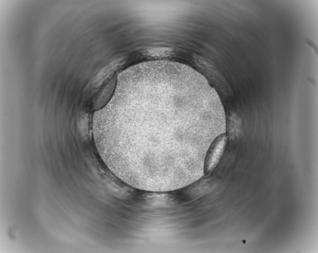 X0000102020428200808151320