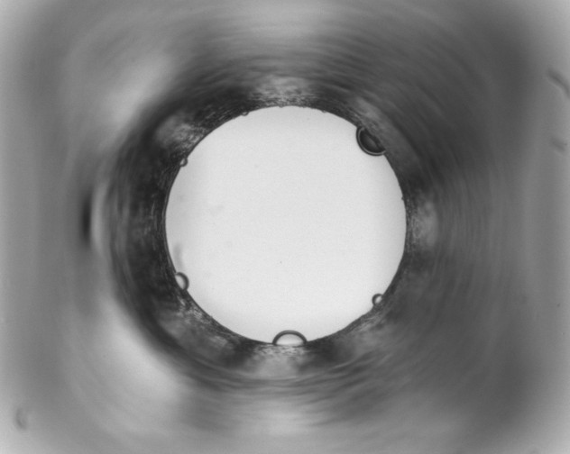 X0000102020429200808151320