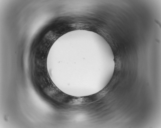 X0000102020430200808151320