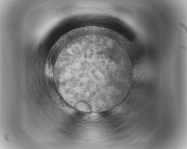 X0000102020431200808151320