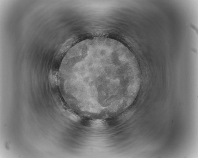 X0000102020432200808151320