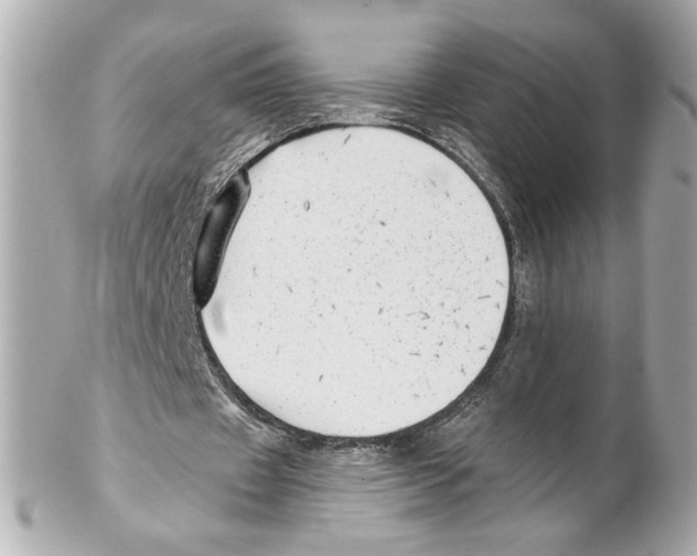 X0000102020433200808151319