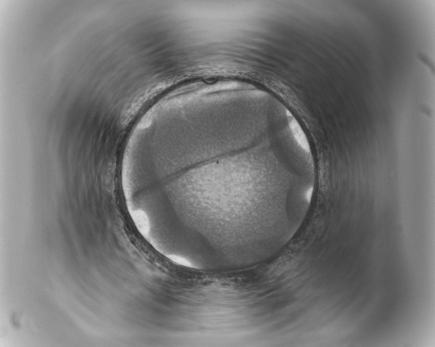 X0000102020434200808151319