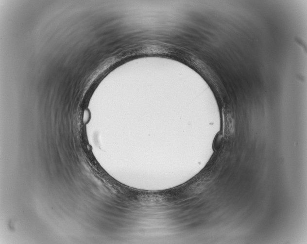 X0000102020435200808151319