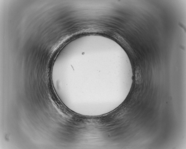X0000102020436200808151319