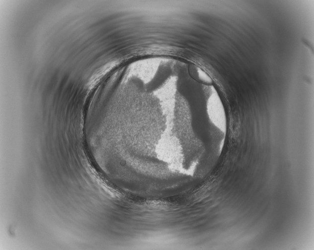 X0000102020437200808151319