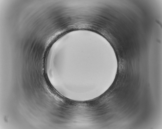X0000102020438200808151319