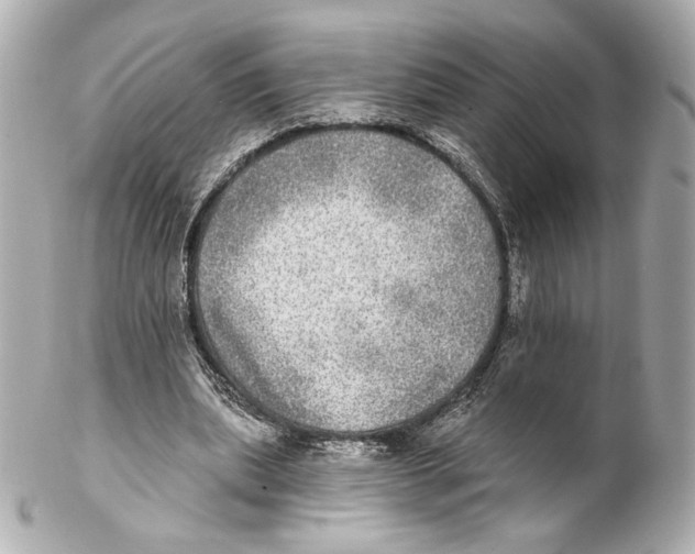 X0000102020439200808151319