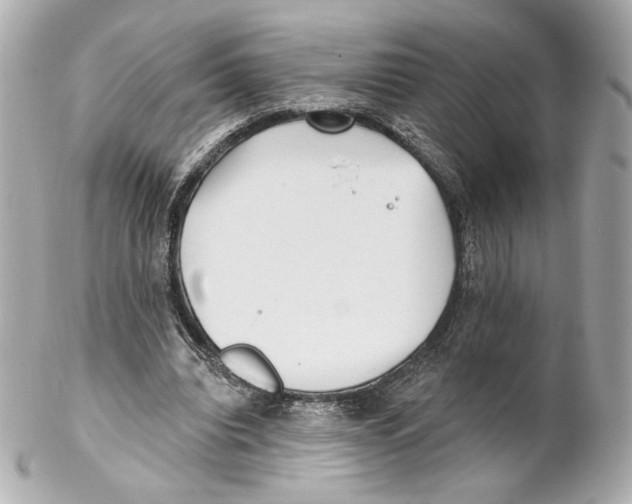 X0000102020440200808151319