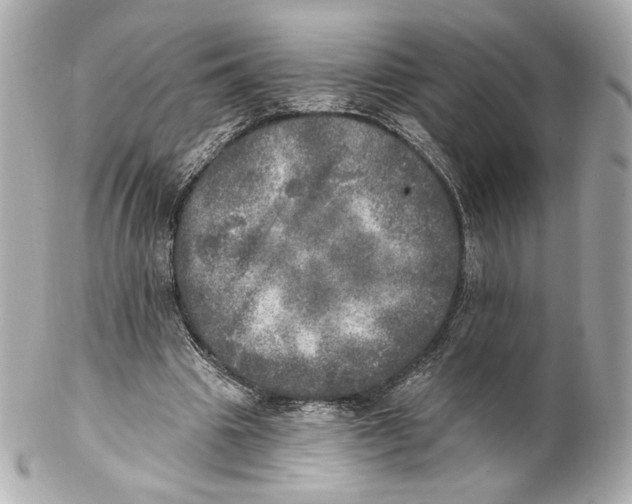 X0000102020441200808151319