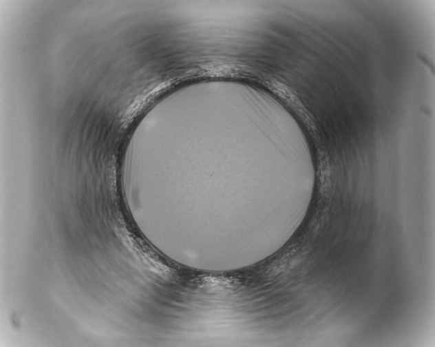 X0000102020442200808151319
