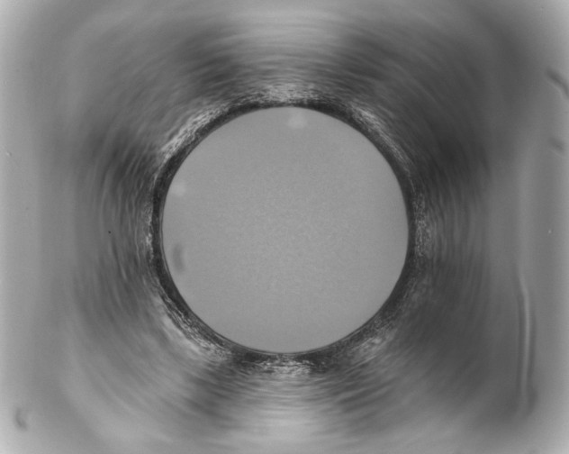 X0000102020443200808151319