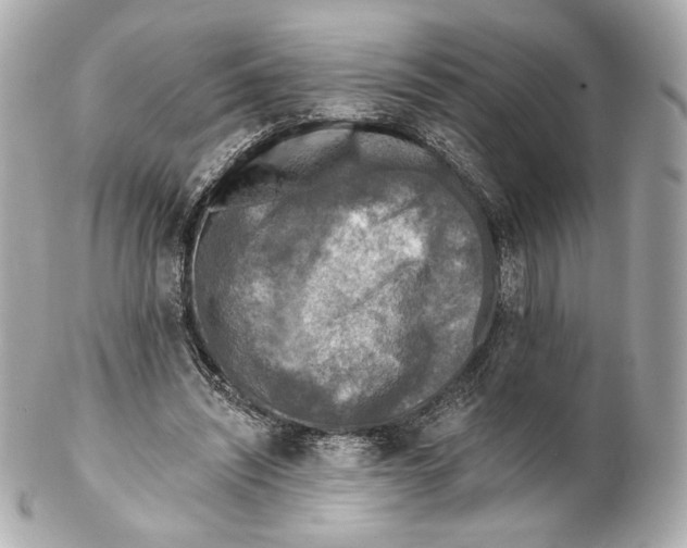 X0000102020444200808151319