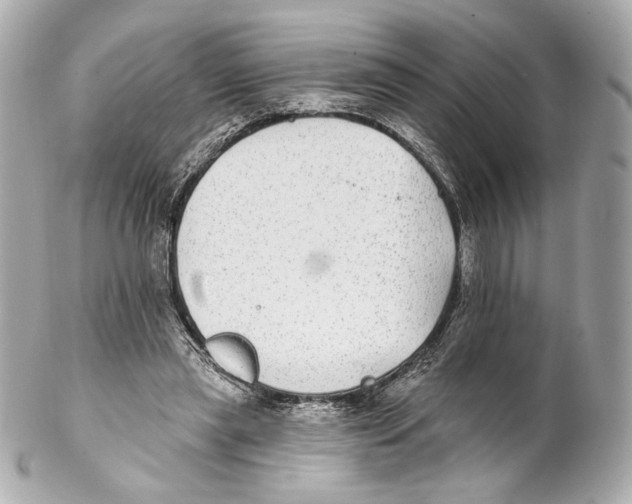 X0000102020445200808151319