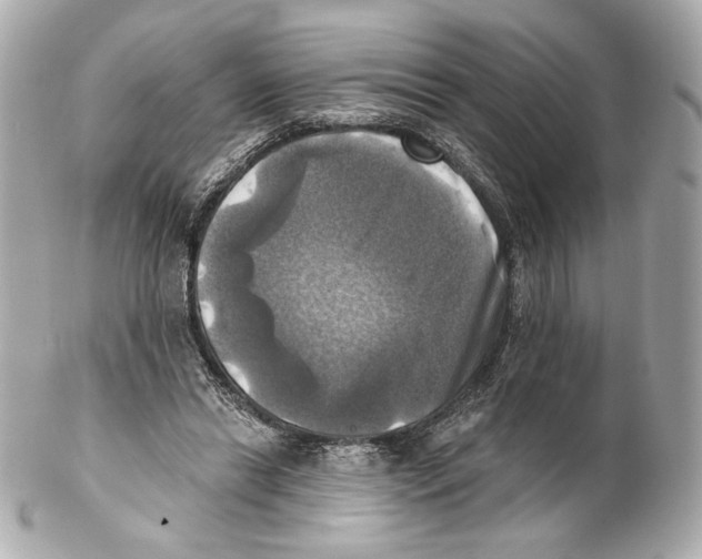 X0000102020446200808151319