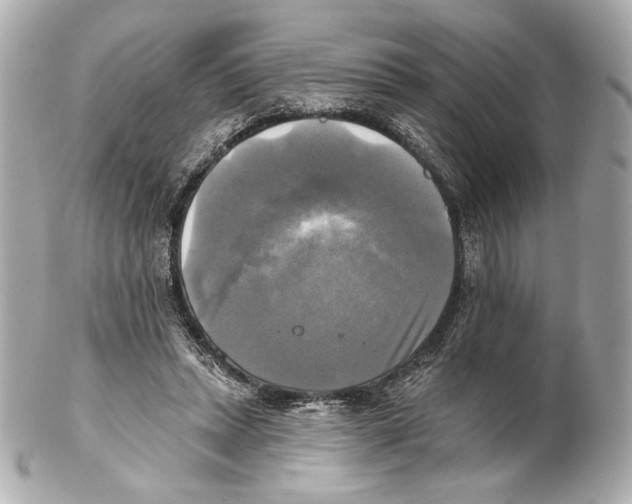 X0000102020447200808151319