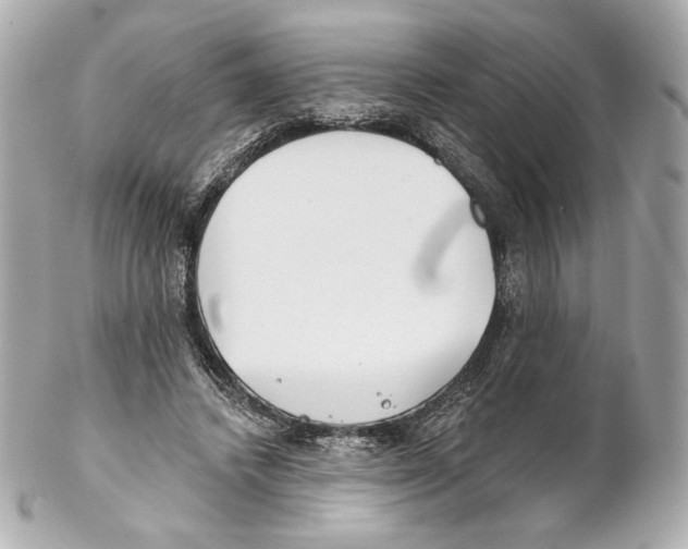 X0000102020448200808151319