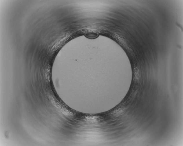 X0000102020450200808151319