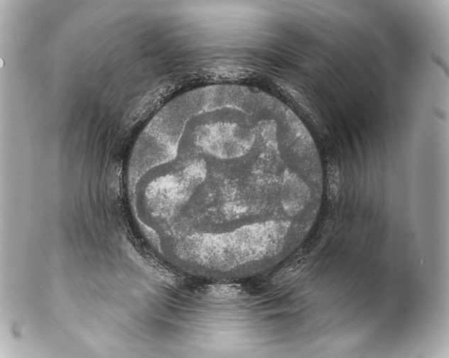 X0000102020451200808151319