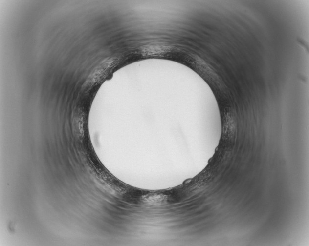X0000102020452200808151319