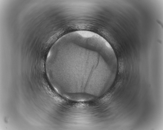 X0000102020453200808151319