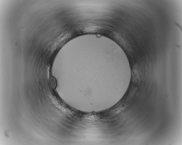 X0000102020454200808151319