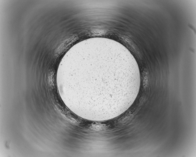 X0000102020455200808151319