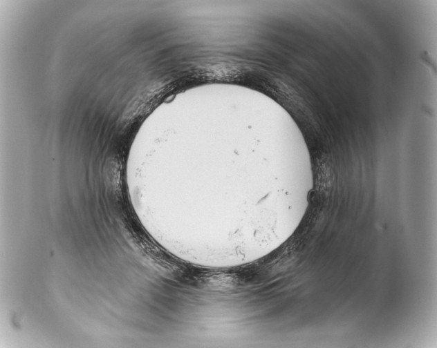 X0000102020456200808151319