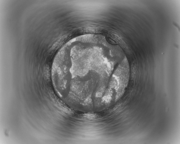X0000102020457200808151319