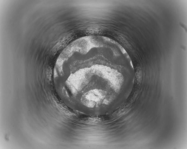 X0000102020458200808151319