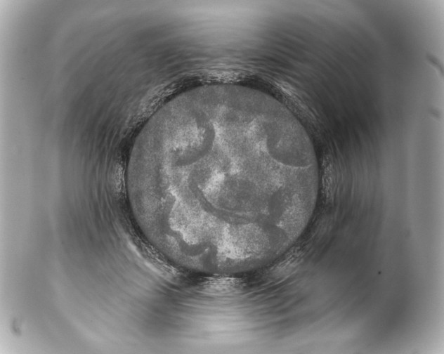 X0000102020459200808151319