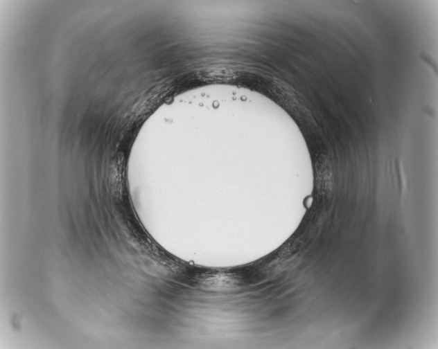 X0000102020460200808151319