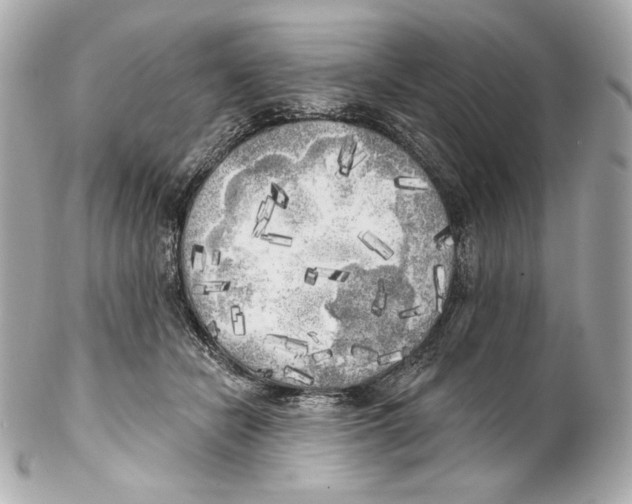 X0000102020462200808151319