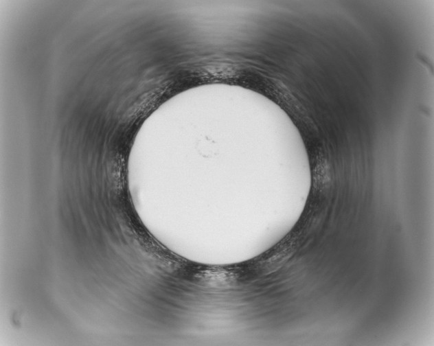 X0000102020464200808151319