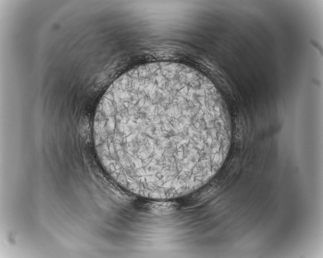 X0000102020465200808151319