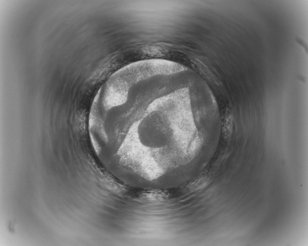 X0000102020466200808151320