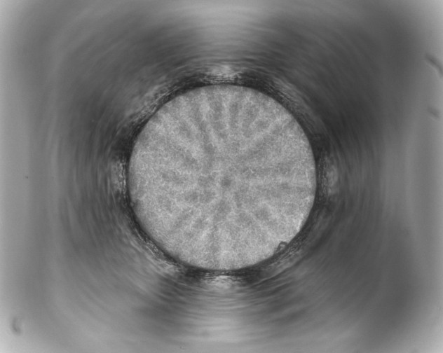 X0000102020467200808151320