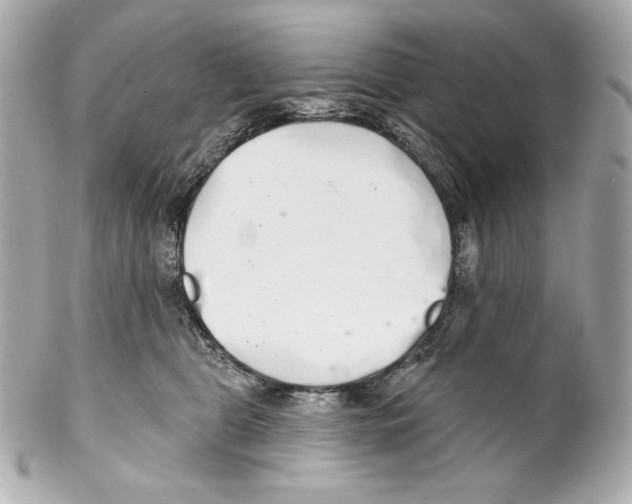 X0000102020469200808151320